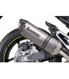 SILENCIOSO AKRAPOVIC TITANIUM Z800E 258EXP0064